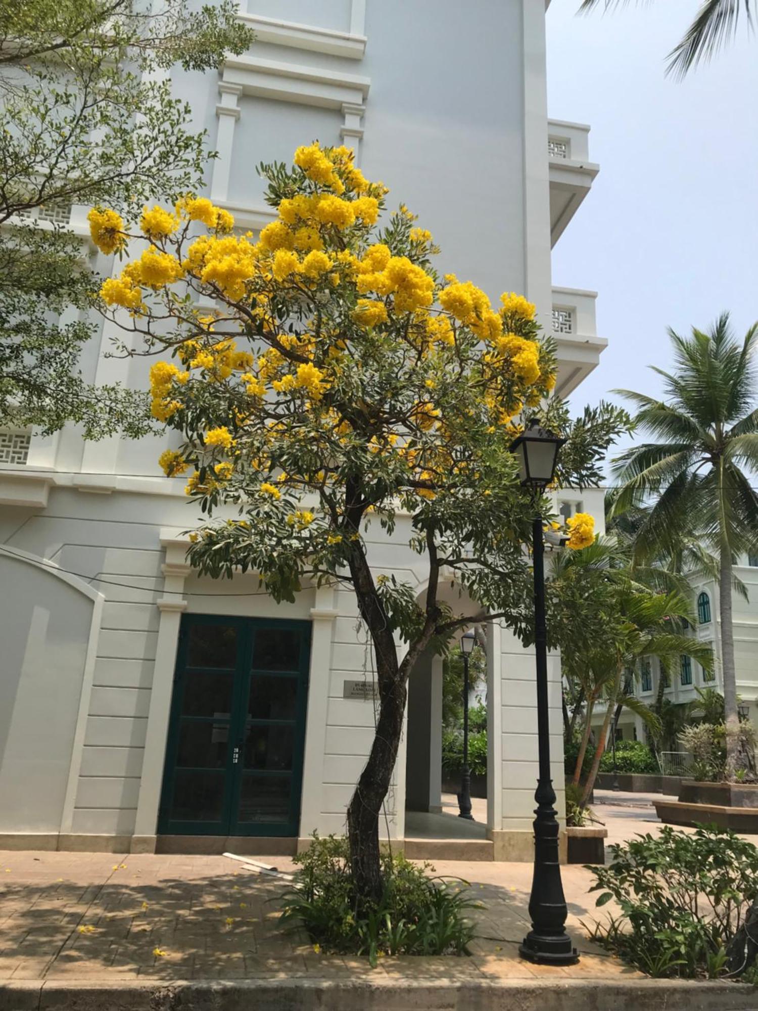 Kalia Hotel Duong Dong Exterior foto